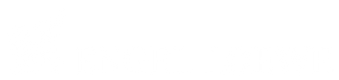 ENGEL LOEWE